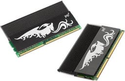 Immortality DDR3 2200 — новый флагман семейства модулей памяти PQI Turbo